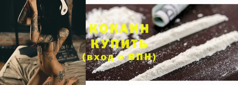 продажа наркотиков  Венёв  COCAIN Fish Scale 