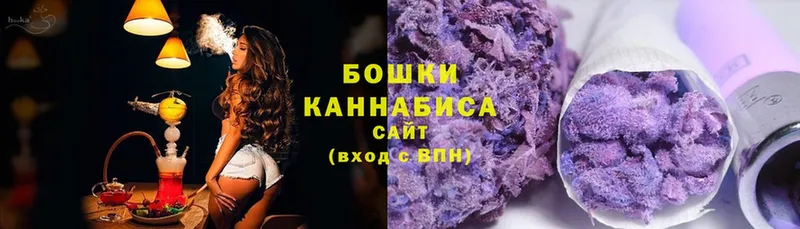 Бошки марихуана White Widow  как найти наркотики  Венёв 